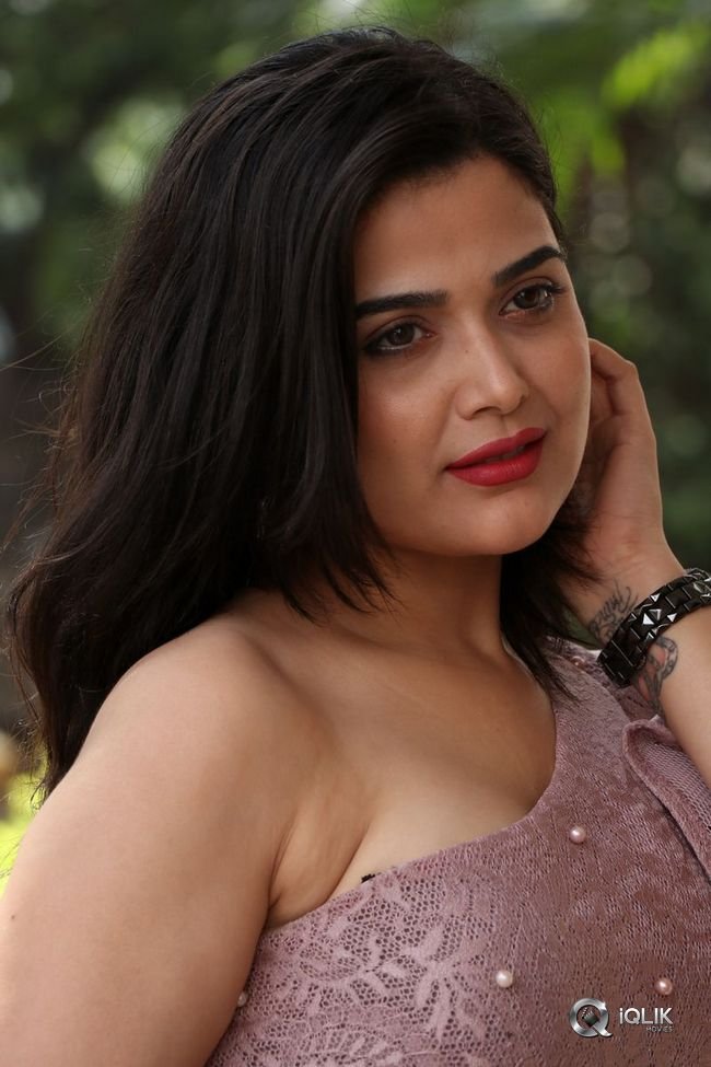 Ayesha-Singh-at-Yedu-Chepala-Katha-Movie-Prees-Meet